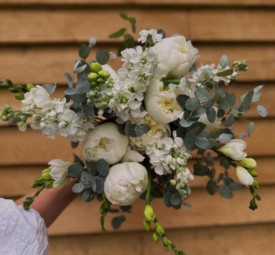 498017500_18139823332395387_3338076784545116347_n